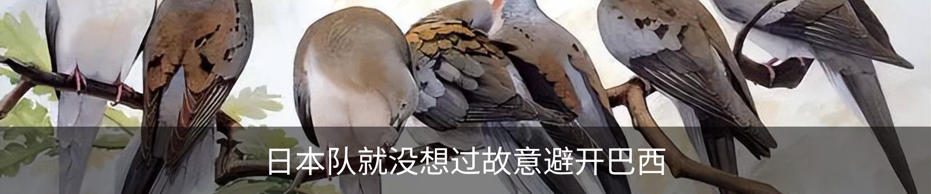 内页banner
